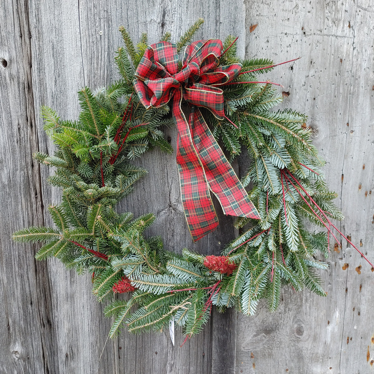 40firwreath20221201_162110_610 40firwreath20221201_162110_610