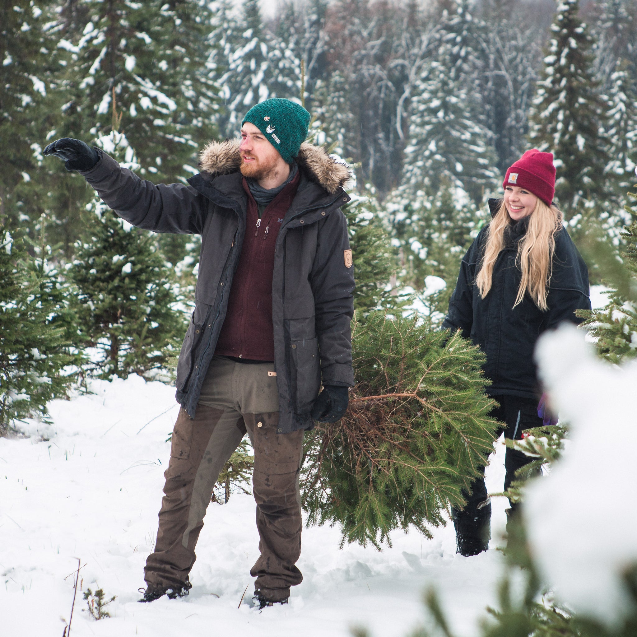 Photographer Passes – Barrett's Christmas Tree Farm